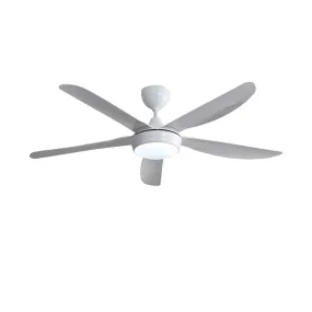 Endel Ceiling Fan