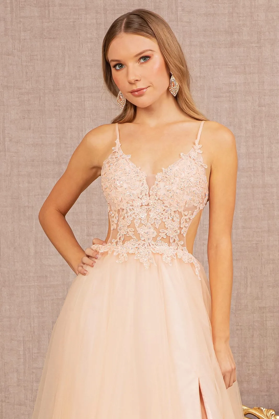 Applique Sleeveless A-line Gown by Elizabeth K GL3152