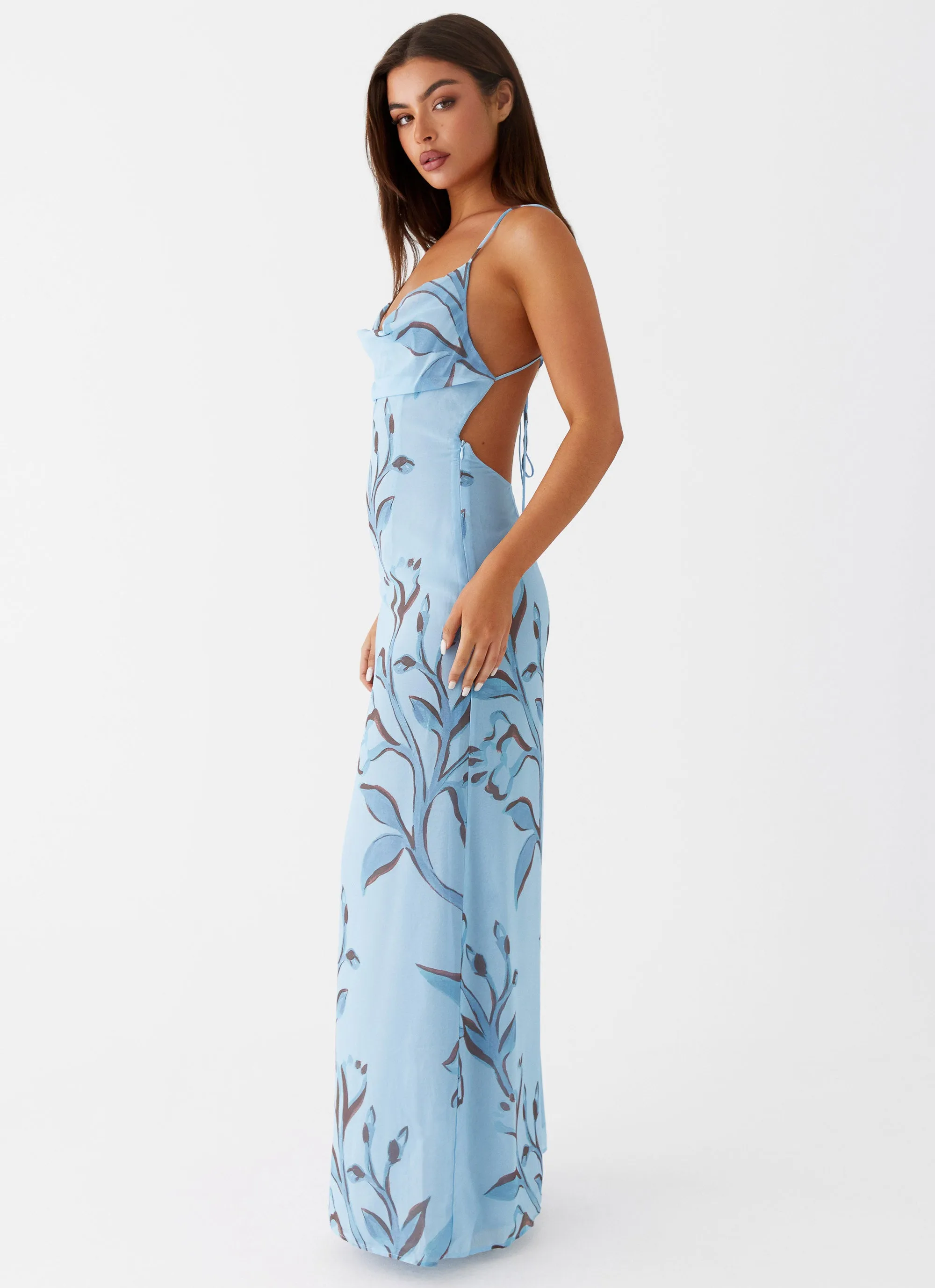 Felicia Daisy Maxi Dress - Blue Floral