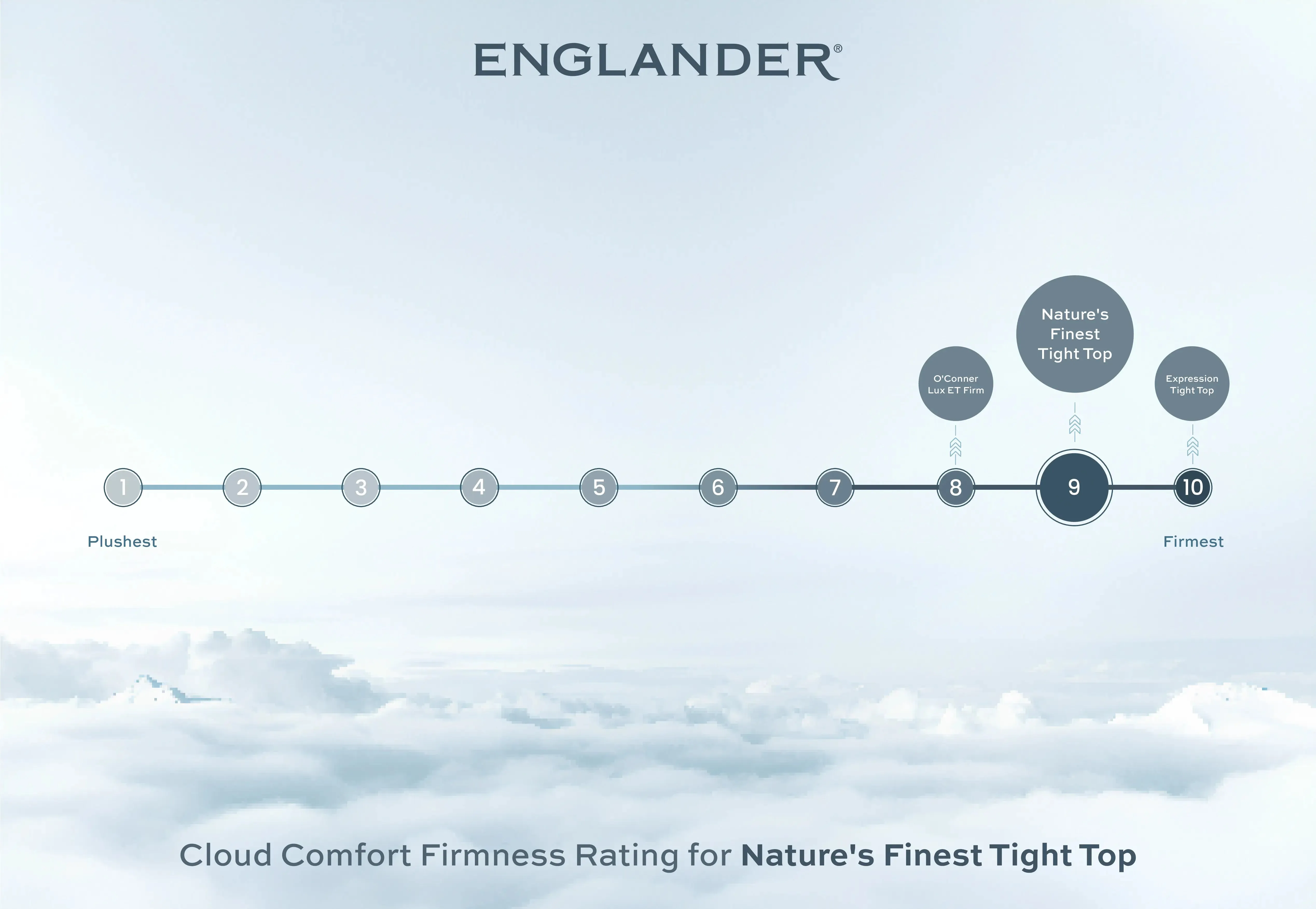 Nature's Finest Tight Top Firm Mattress by Englander