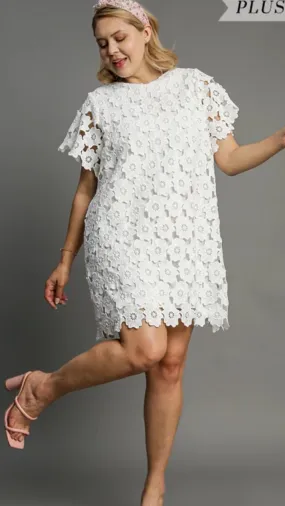 Off White Floral Lace Dress